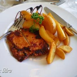 Elizabeth Hotel, Gyula - Vendéglátás